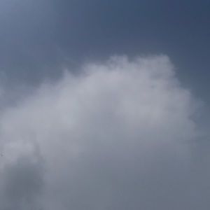 Meet your Posher, Leksi